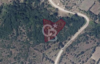 ÇANAKKALE BİGA İLYASALAN KÖYÜNDE YATIRIMLIK ARAZİ!!!