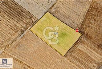 ERGENE’DE DEĞER KAZANAN BÖLGEDE KAÇIRILMAYACAK TARLA! - 2 - 323390