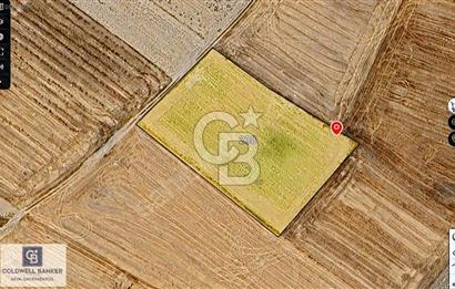 ERGENE’DE DEĞER KAZANAN BÖLGEDE KAÇIRILMAYACAK TARLA!