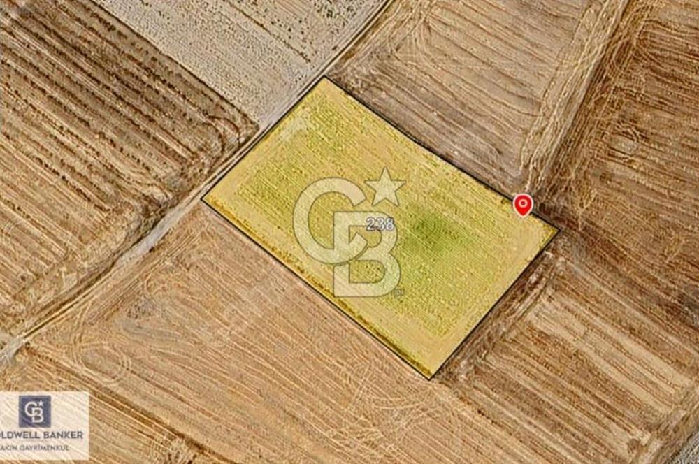 ERGENE’DE DEĞER KAZANAN BÖLGEDE KAÇIRILMAYACAK TARLA!