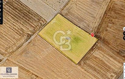 ERGENE’DE DEĞER KAZANAN BÖLGEDE KAÇIRILMAYACAK TARLA!