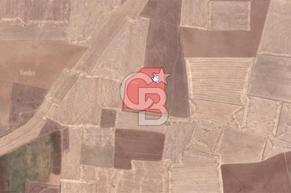 CB'DEN ÇUMRA AVDUL'DA 21.374 m² BADEM-CEVİZ BAHÇESİ SATILIK