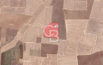 CB'DEN ÇUMRA AVDUL'DA 21.374 m² BADEM-CEVİZ BAHÇESİ SATILIK