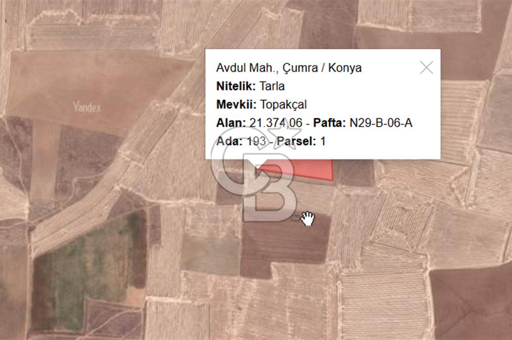 CB'DEN ÇUMRA AVDUL'DA 21.374 m² BADEM-CEVİZ BAHÇESİ SATILIK