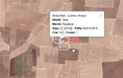 CB'DEN ÇUMRA AVDUL'DA 21.374 m² BADEM-CEVİZ BAHÇESİ SATILIK