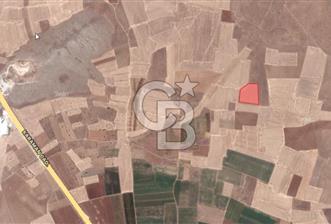 CB'DEN ÇUMRA AVDUL'DA 21.374 m² BADEM-CEVİZ BAHÇESİ SATILIK - 1 - 323401