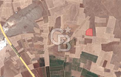 CB'DEN ÇUMRA AVDUL'DA 21.374 m² BADEM-CEVİZ BAHÇESİ SATILIK