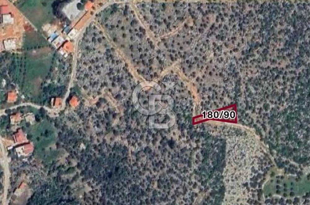 CB GİZ'DEN KAŞ BEZİRGANDA KELEPİR MÜSTAKİL DENİZ MANZARALI TARLA