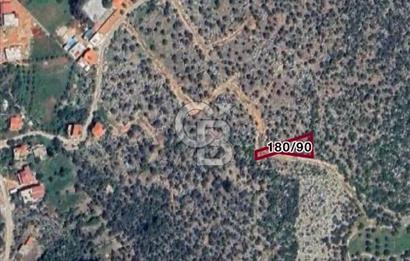 CB GİZ'DEN KAŞ BEZİRGANDA KELEPİR MÜSTAKİL DENİZ MANZARALI TARLA