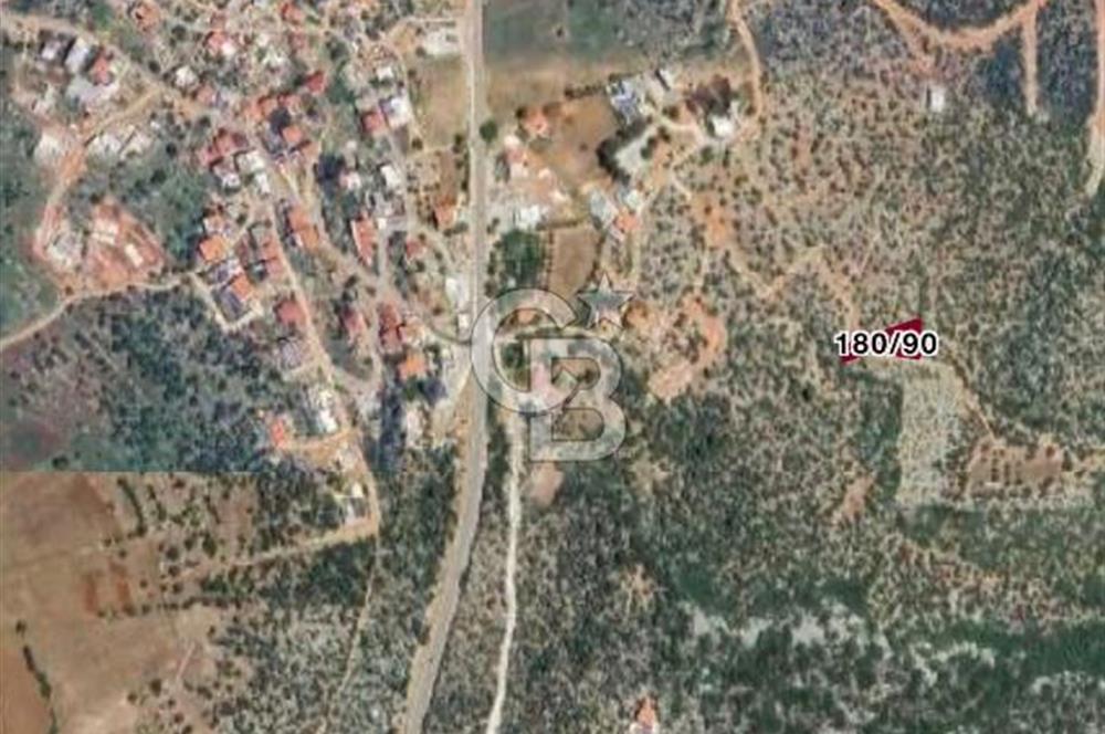 CB GİZ'DEN KAŞ BEZİRGANDA KELEPİR MÜSTAKİL DENİZ MANZARALI TARLA