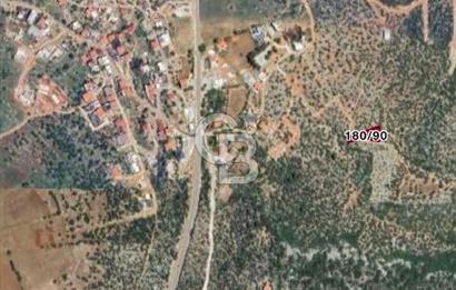 CB GİZ'DEN KAŞ BEZİRGANDA KELEPİR MÜSTAKİL DENİZ MANZARALI TARLA