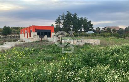 ANTALYA AKSU KURŞUNLUDA 6013 M2 ARAZİ İÇİNDE SATILIK MÜSTAKİL EV