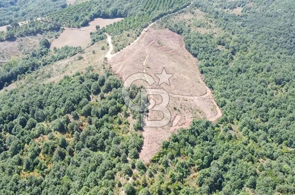 ÇANAKKALE ÇAN BOZGÜÇ SATILIK 27.800 m2 ARAZİ