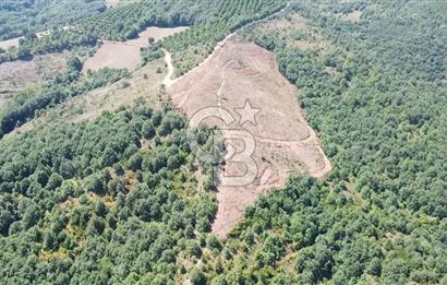 ÇANAKKALE ÇAN BOZGÜÇ SATILIK 27.800 m2 ARAZİ