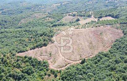 ÇANAKKALE ÇAN BOZGÜÇ SATILIK 27.800 m2 ARAZİ
