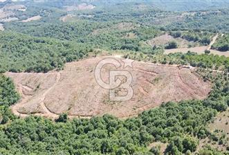 ÇANAKKALE ÇAN BOZGÜÇ SATILIK 27.800 m2 ARAZİ - 10 - 323423