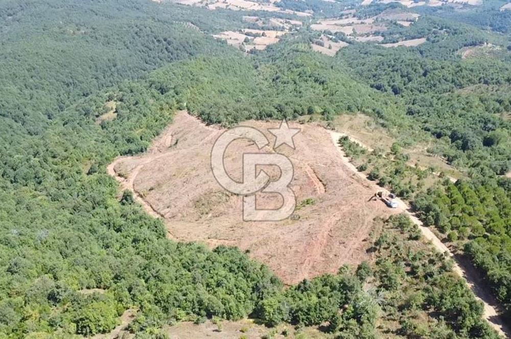 ÇANAKKALE ÇAN BOZGÜÇ SATILIK 27.800 m2 ARAZİ