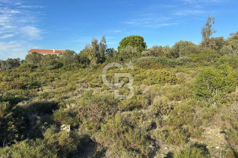 URLA'NIN YÜKSELEN DEĞERİ ÖZBEK'TE ÖN SIRA DENİZ MANZARALI ARAZİ