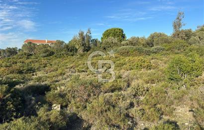 URLA'NIN YÜKSELEN DEĞERİ ÖZBEK'TE ÖN SIRA DENİZ MANZARALI ARAZİ