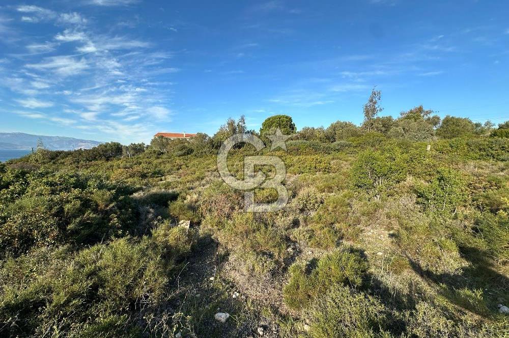 URLA'NIN YÜKSELEN DEĞERİ ÖZBEK'TE ÖN SIRA DENİZ MANZARALI ARAZİ