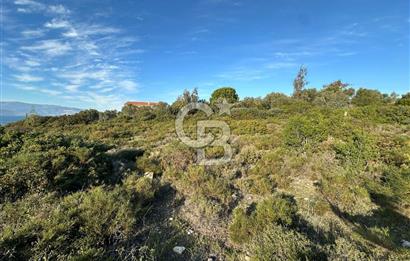 URLA'NIN YÜKSELEN DEĞERİ ÖZBEK'TE ÖN SIRA DENİZ MANZARALI ARAZİ