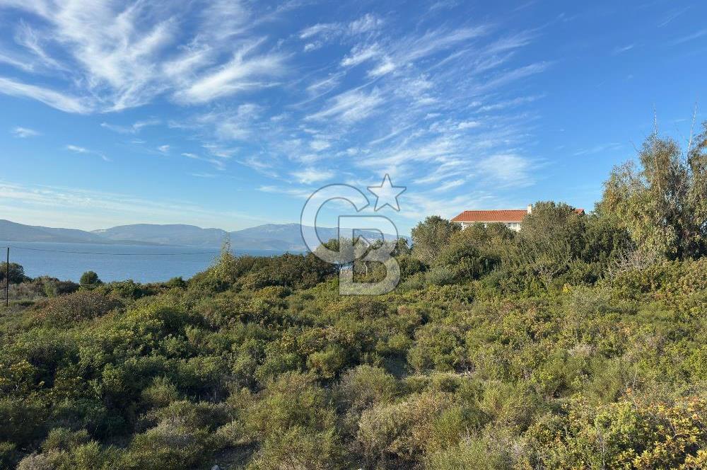 URLA'NIN YÜKSELEN DEĞERİ ÖZBEK'TE ÖN SIRA DENİZ MANZARALI ARAZİ