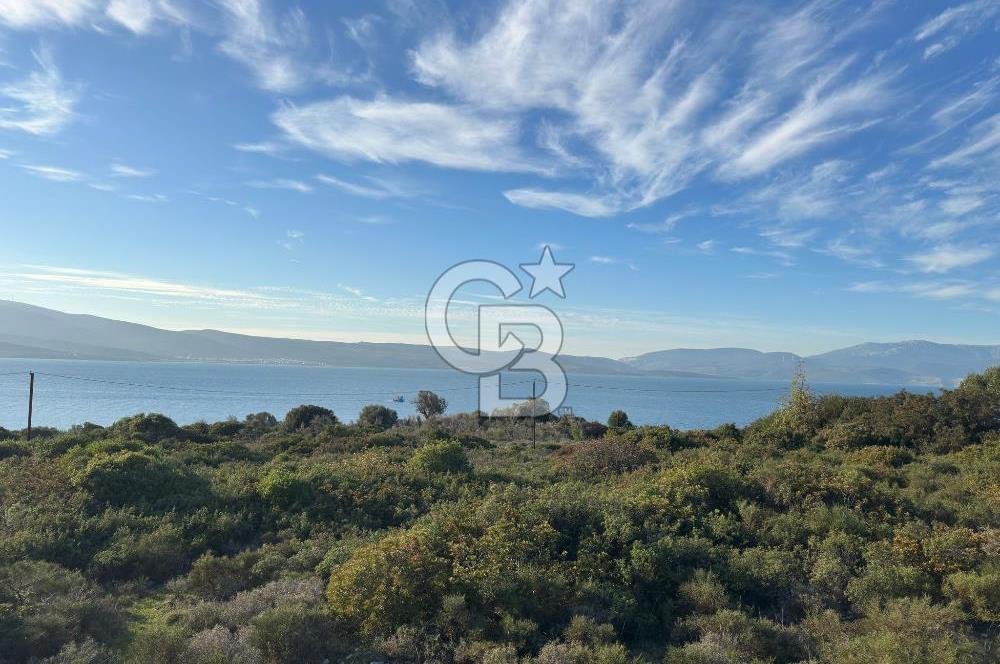 URLA'NIN YÜKSELEN DEĞERİ ÖZBEK'TE ÖN SIRA DENİZ MANZARALI ARAZİ