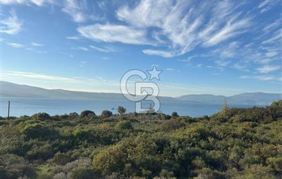 URLA'NIN YÜKSELEN DEĞERİ ÖZBEK'TE ÖN SIRA DENİZ MANZARALI ARAZİ