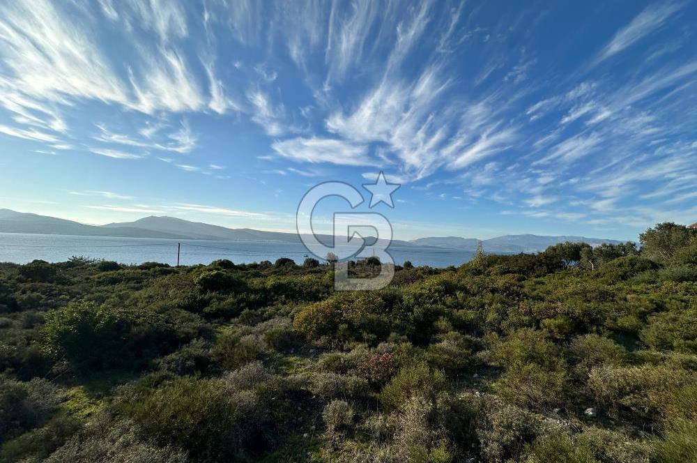 URLA'NIN YÜKSELEN DEĞERİ ÖZBEK'TE ÖN SIRA DENİZ MANZARALI ARAZİ