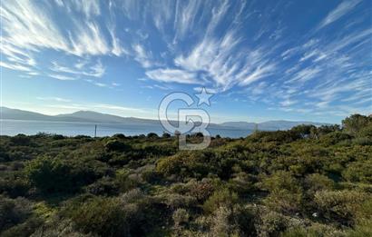 URLA'NIN YÜKSELEN DEĞERİ ÖZBEK'TE ÖN SIRA DENİZ MANZARALI ARAZİ