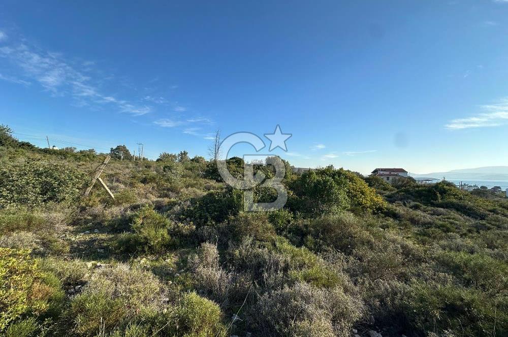 URLA'NIN YÜKSELEN DEĞERİ ÖZBEK'TE ÖN SIRA DENİZ MANZARALI ARAZİ