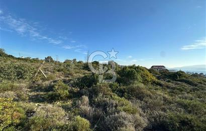 URLA'NIN YÜKSELEN DEĞERİ ÖZBEK'TE ÖN SIRA DENİZ MANZARALI ARAZİ