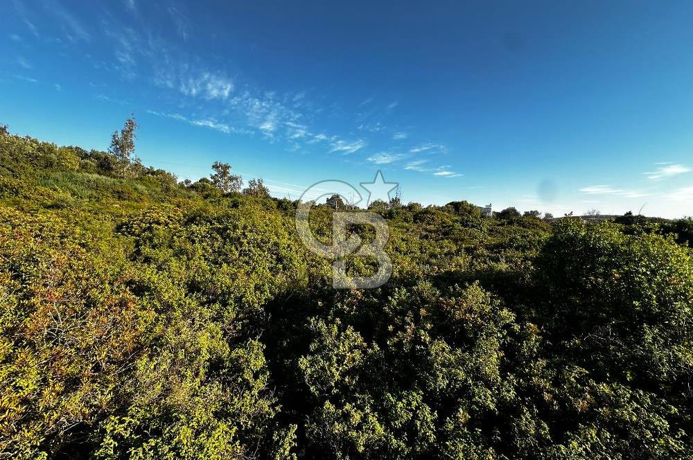 URLA'NIN YÜKSELEN DEĞERİ ÖZBEK'TE ÖN SIRA DENİZ MANZARALI ARAZİ