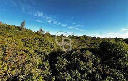 URLA'NIN YÜKSELEN DEĞERİ ÖZBEK'TE ÖN SIRA DENİZ MANZARALI ARAZİ