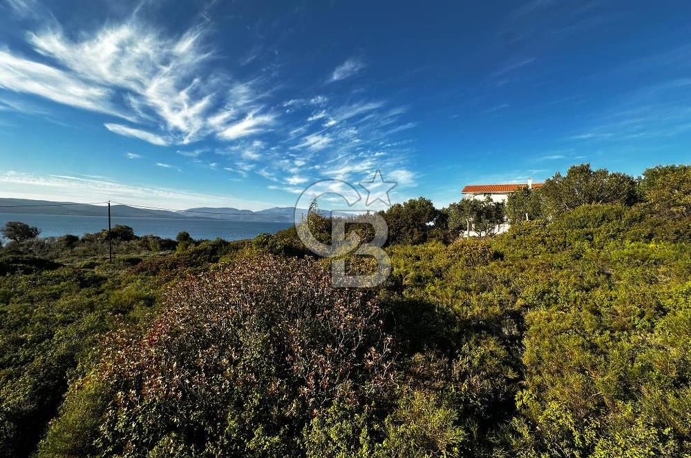 URLA'NIN YÜKSELEN DEĞERİ ÖZBEK'TE ÖN SIRA DENİZ MANZARALI ARAZİ