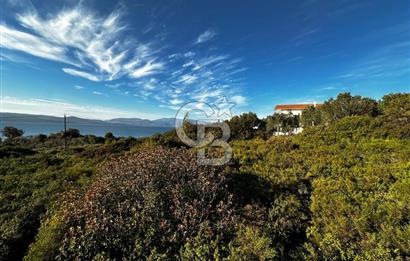 URLA'NIN YÜKSELEN DEĞERİ ÖZBEK'TE ÖN SIRA DENİZ MANZARALI ARAZİ