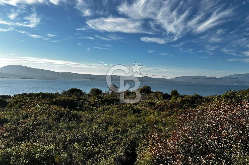 URLA'NIN YÜKSELEN DEĞERİ ÖZBEK'TE ÖN SIRA DENİZ MANZARALI ARAZİ