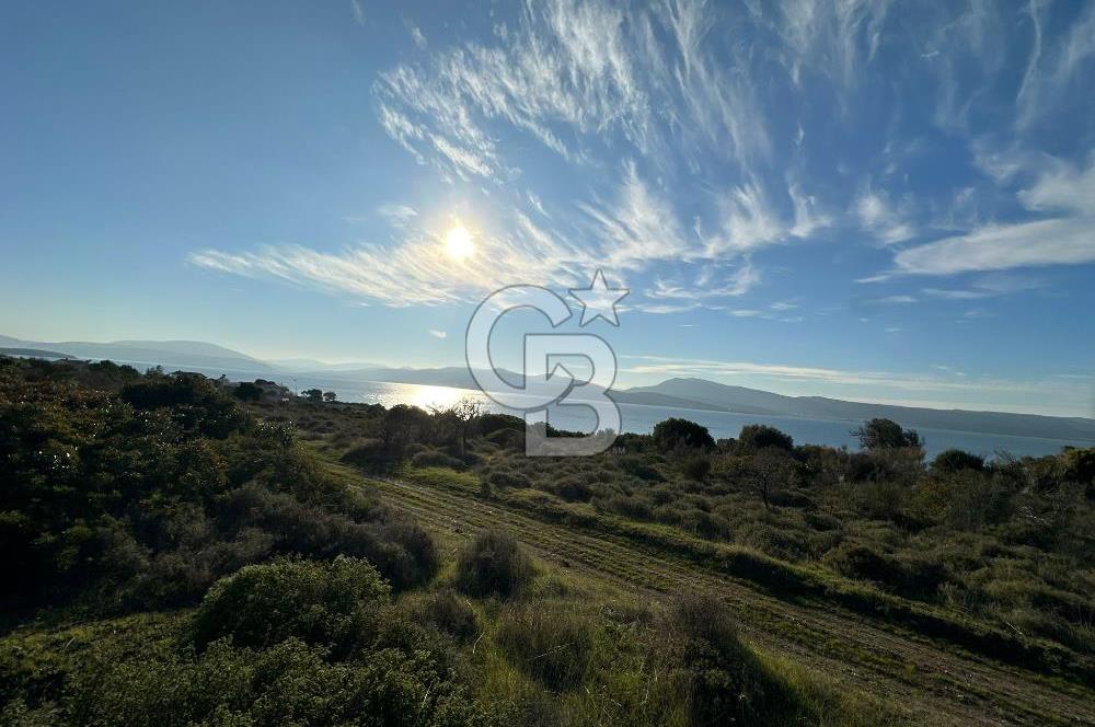 URLA'NIN YÜKSELEN DEĞERİ ÖZBEK'TE ÖN SIRA DENİZ MANZARALI ARAZİ