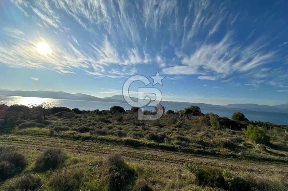 URLA'NIN YÜKSELEN DEĞERİ ÖZBEK'TE ÖN SIRA DENİZ MANZARALI ARAZİ