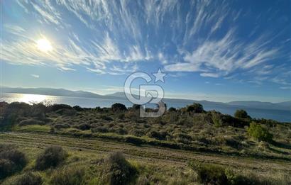 URLA'NIN YÜKSELEN DEĞERİ ÖZBEK'TE ÖN SIRA DENİZ MANZARALI ARAZİ