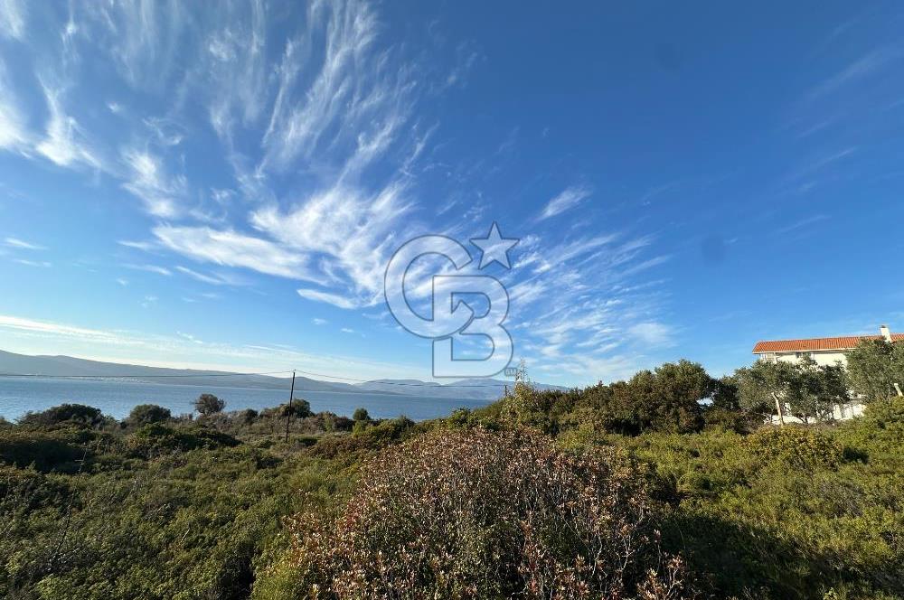 URLA'NIN YÜKSELEN DEĞERİ ÖZBEK'TE ÖN SIRA DENİZ MANZARALI ARAZİ