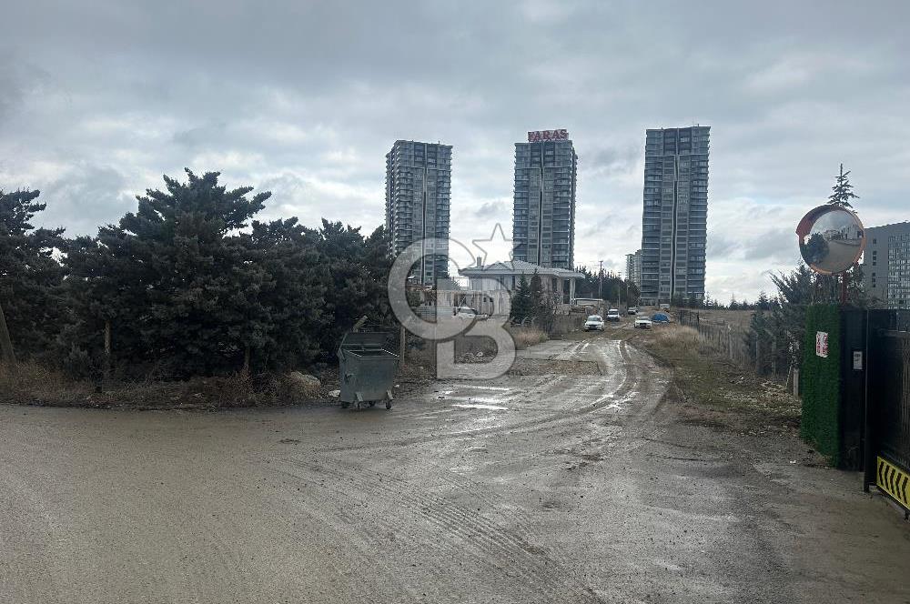 İNCEKTE KAÇIRILMAYACAK YATIRIM FIRSATI