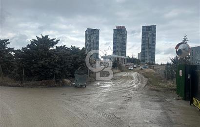 İNCEKTE KAÇIRILMAYACAK YATIRIM FIRSATI