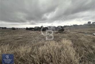 İNCEKTE KAÇIRILMAYACAK YATIRIM FIRSATI - 1 - 323472