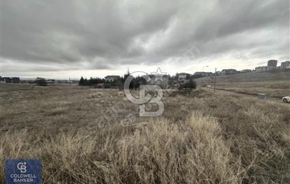 İNCEKTE KAÇIRILMAYACAK YATIRIM FIRSATI