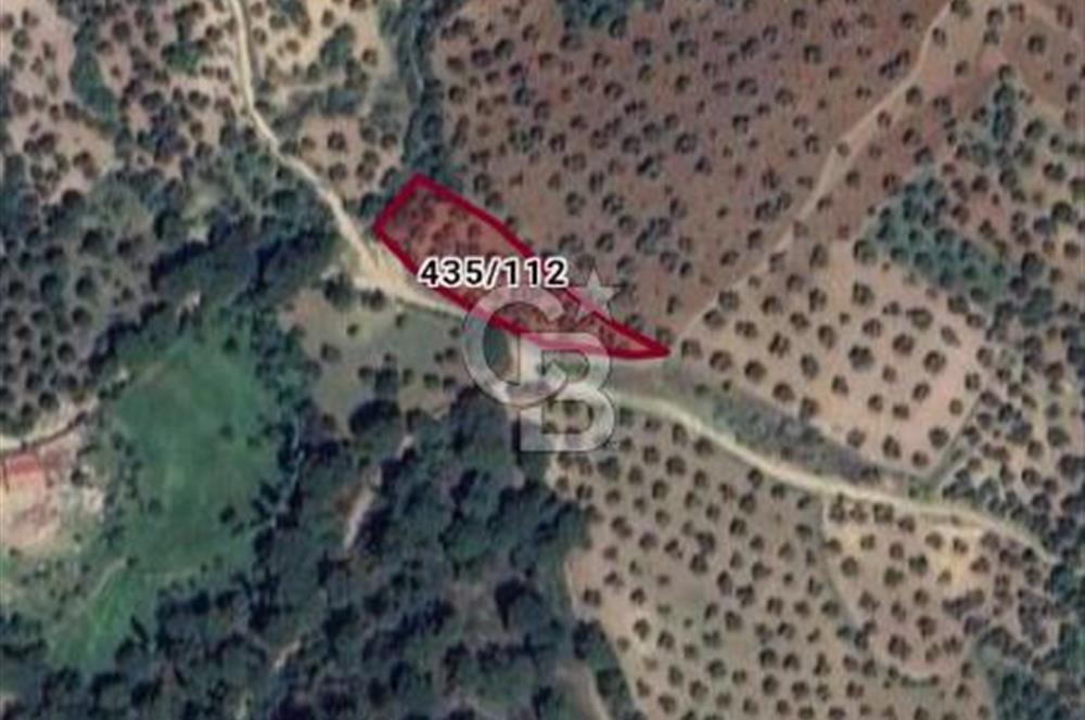 Balıkesir karaağaç Gömeç 