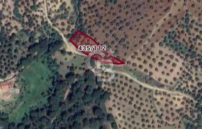 Balıkesir karaağaç Gömeç 