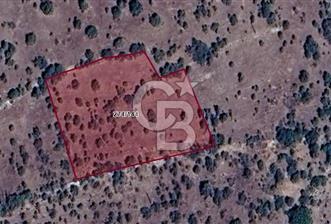 DENİZLİ BEKİLLİ'DE YATIRIM VE TARIMSAL DEĞER POTANSİYELLİ TARLA - 3 - 323456