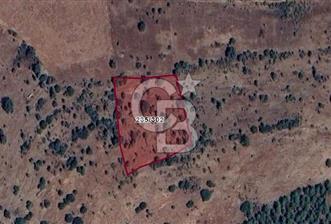 DENİZLİ ÇAL HANÇALARDA YATIRIMA UYGUN TARLA - 10 - 323459