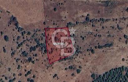 DENİZLİ ÇAL HANÇALARDA YATIRIMA UYGUN TARLA